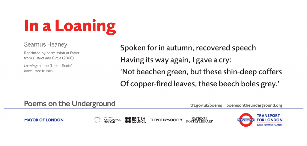 In a Loaning by Seamus Heaney Spoken for in autumn, recovered speech Having its way again, I gave a cry: ‘Not beechen green, but these shin-deep coffers Of copper-fired leaves, these beech boles grey.’ Seamus Heaney Reprinted by permission of Faber from District and Circle (2006) Loaning: a lane (Ulster-Scots) boles: tree trunks