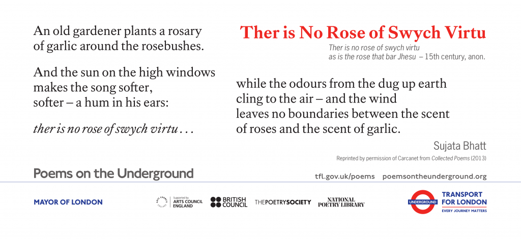 Ther is No Rose of Swych Virtu Ther is no rose of swych virtu as is the rose that bar Jhesu -- 15th century, anon. An old gardener plants a rosary of garlic around the rosebushes. And the sun on the high windows makes the song softer, softer – a hum in his ears: ther is no rose of swych virtu . . . while the odours from the dug up earth cling to the air – and the wind leaves no boundaries between the scent of roses and the scent of garlic. Sujata Bhatt Reprinted by permission of Carcanet from Collected Poems (2013)