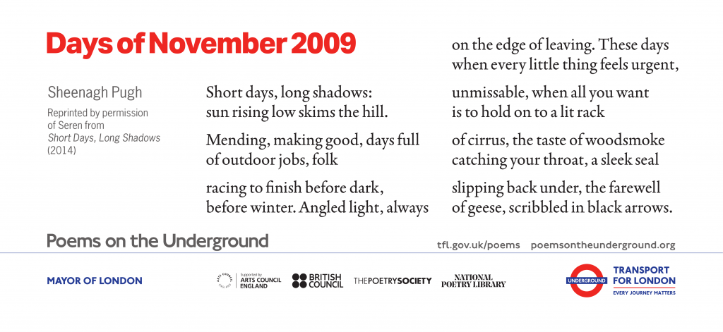 Days of November 2009 by Sheenagh Pugh Short days, long shadows: sun rising low skims the hill. Mending, making good, days full of outdoor jobs, folk racing to finish before dark, before winter. Angled light, always on the edge of leaving. These days when every little thing feels urgent, unmissable, when all you want is to hold on to a lit rack of cirrus, the taste of woodsmoke catching your throat, a sleek seal slipping back under, the farewell of geese, scribbled in black arrows. Reprinted by permission of Seren from Short Days, Long Shadows (2014)