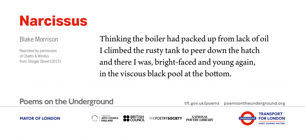 Narcissus
Thinking the boiler had packed up from lack of oil
I climbed the rusty tank to peer down the hatch
and there I was, bright-faced and young again,
in the viscous black pool at the bottom.
Blake Morrison
Reprinted by permission of Chatto & Windus from Shingle Street (2015)